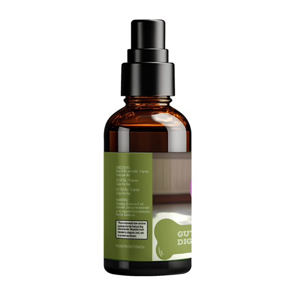 Gut Health - Image 2
