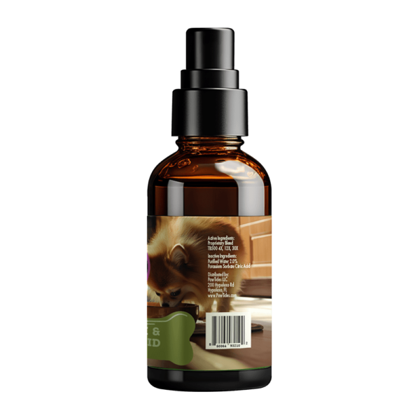 Gut Health - Image 3